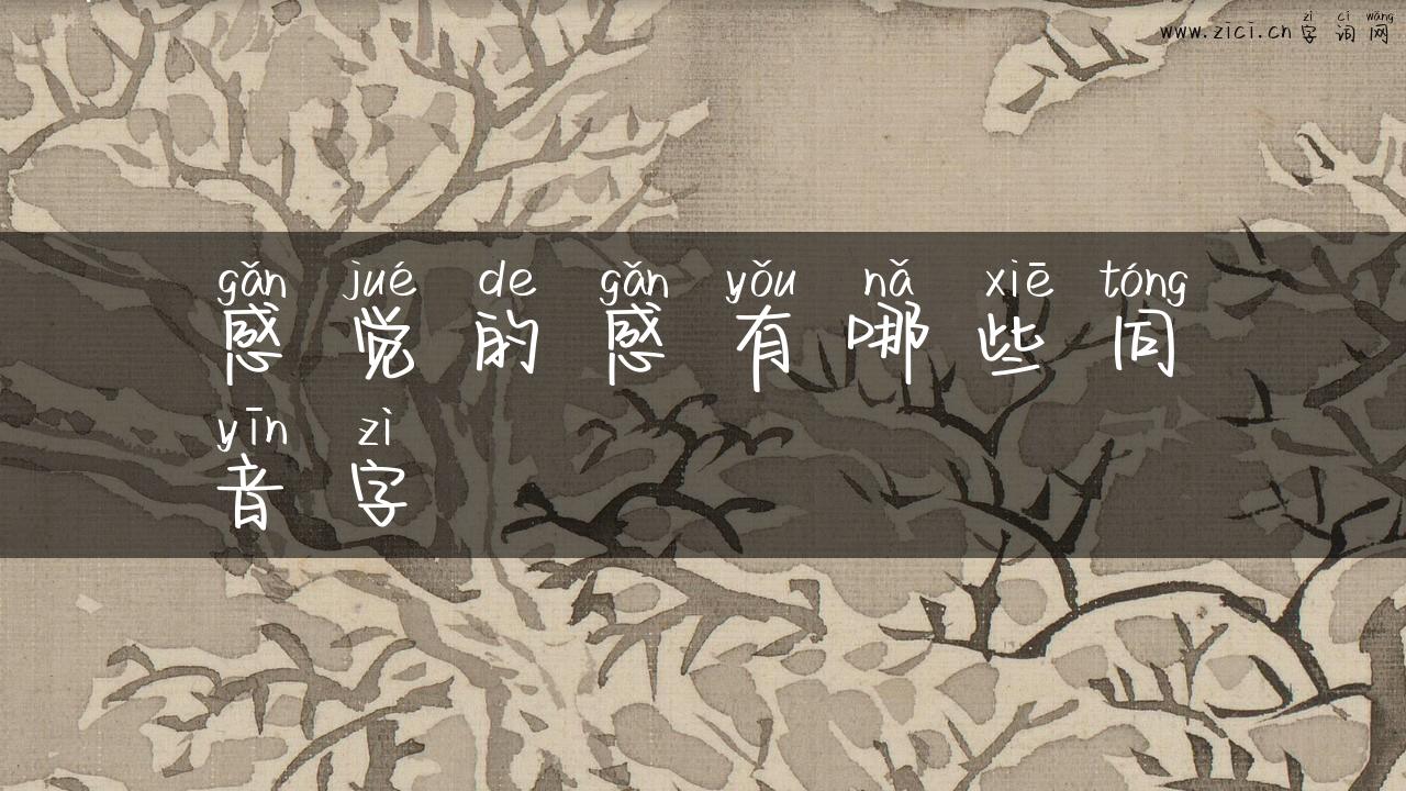 感觉的感有哪些同音字
