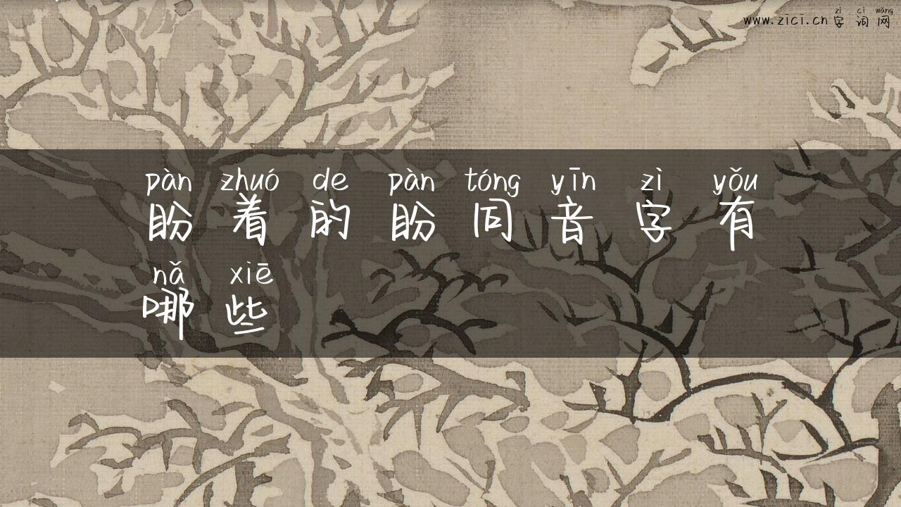 盼着的盼同音字有哪些