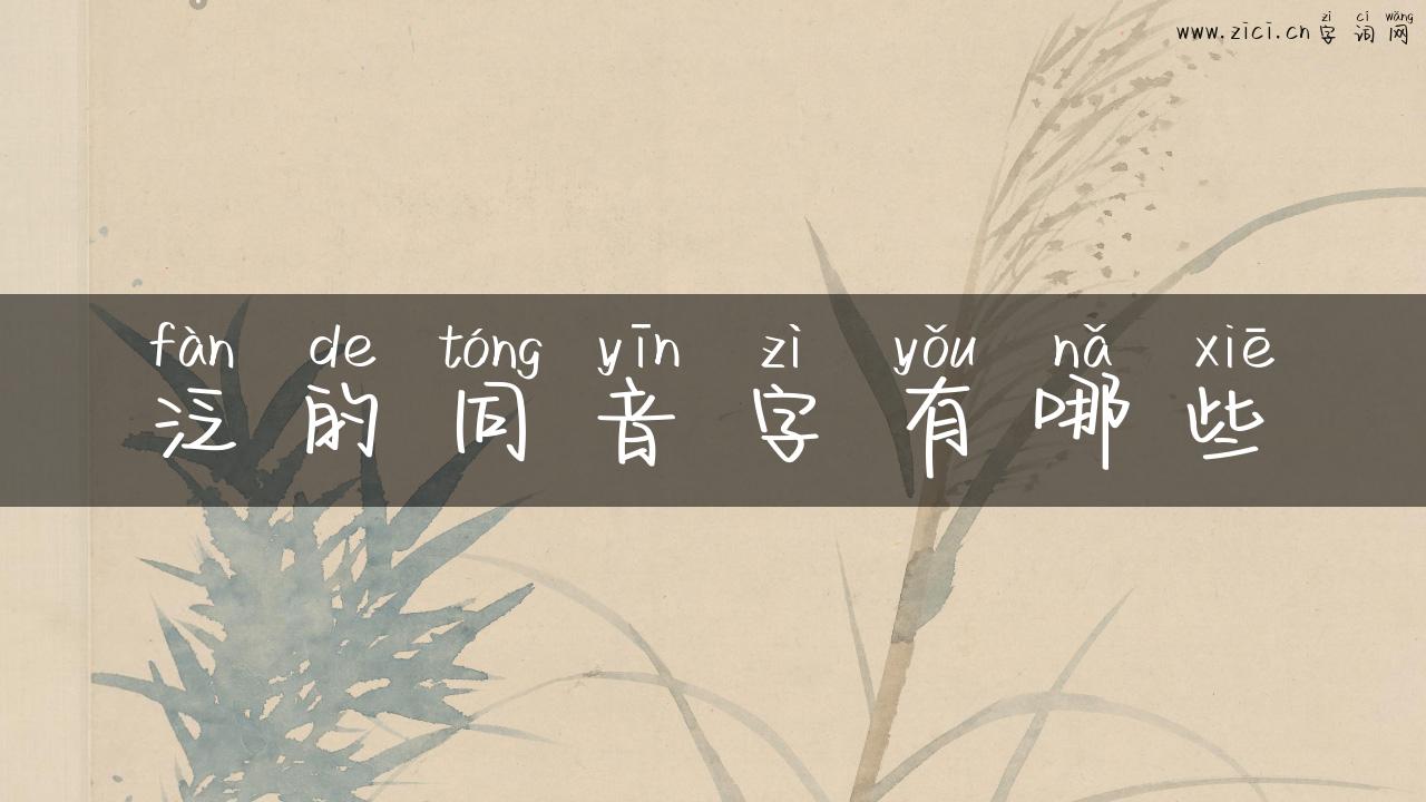 泛的同音字有哪些