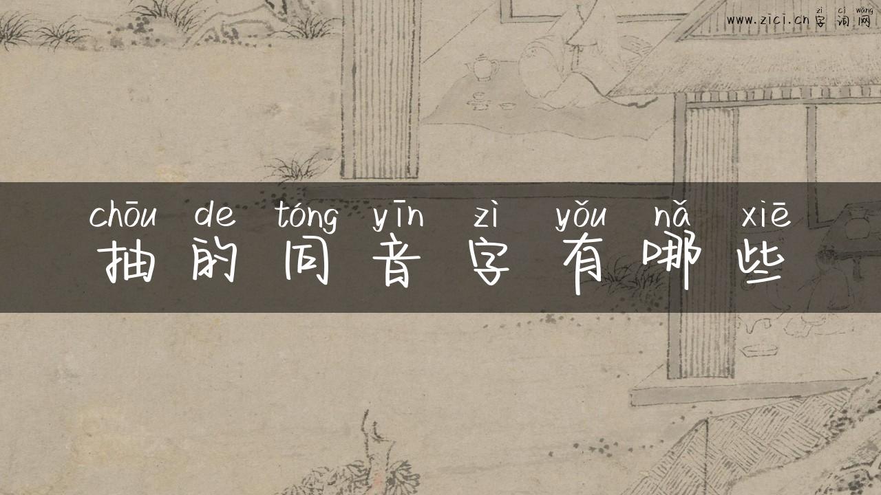 抽的同音字有哪些