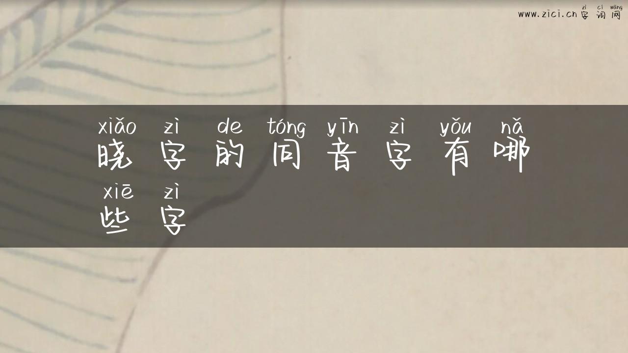 晓字的同音字有哪些字