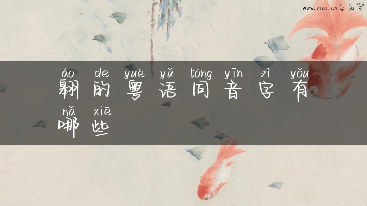 翱的粤语同音字有哪些