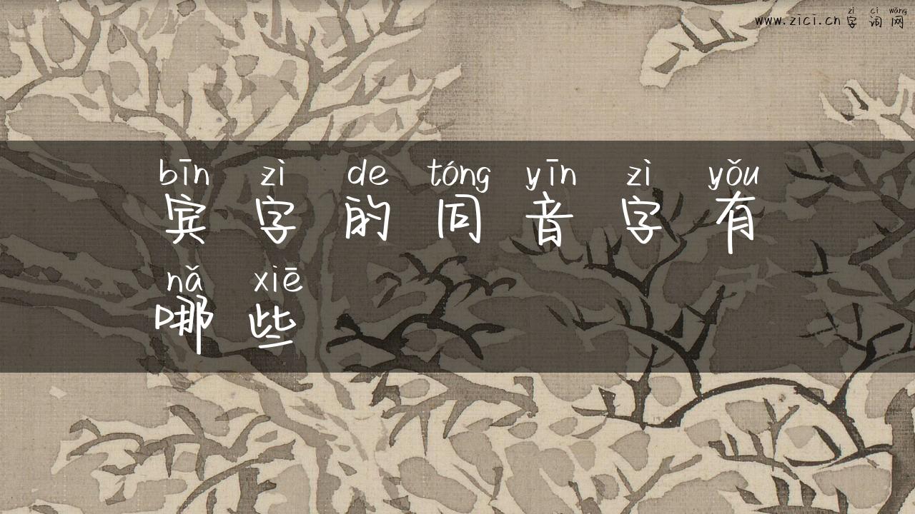 宾字的同音字有哪些