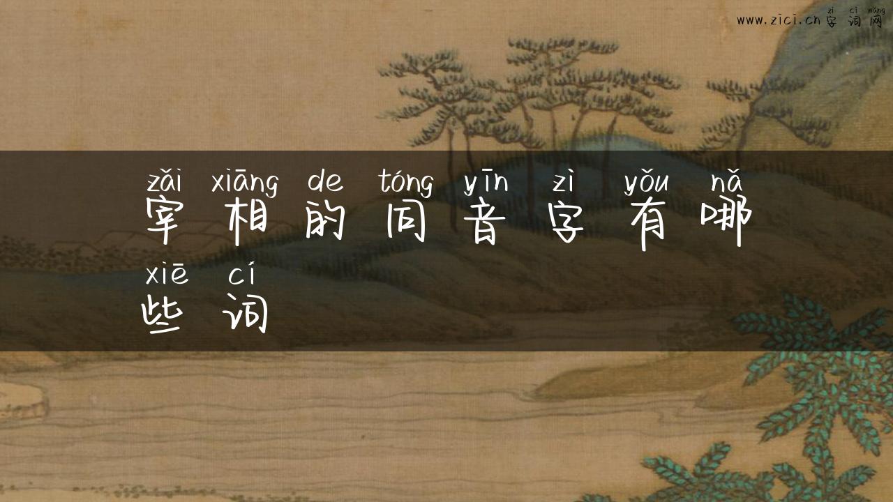 宰相的同音字有哪些词