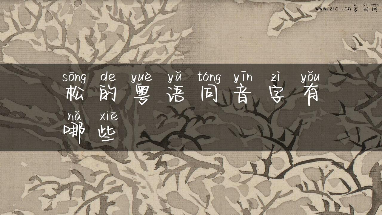 松的粤语同音字有哪些