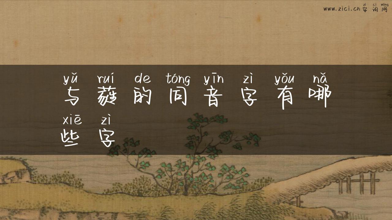 与蕤的同音字有哪些字