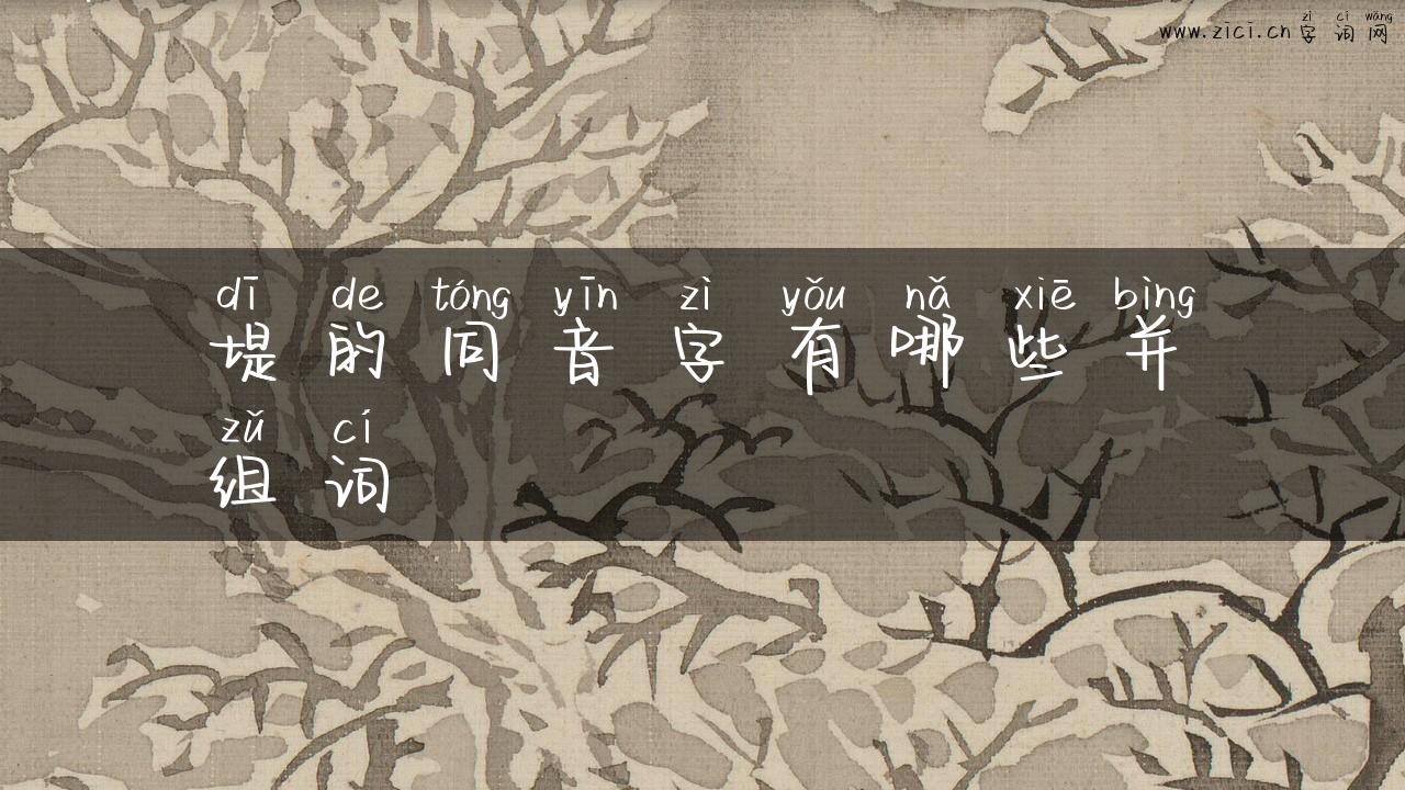 堤的同音字有哪些并组词