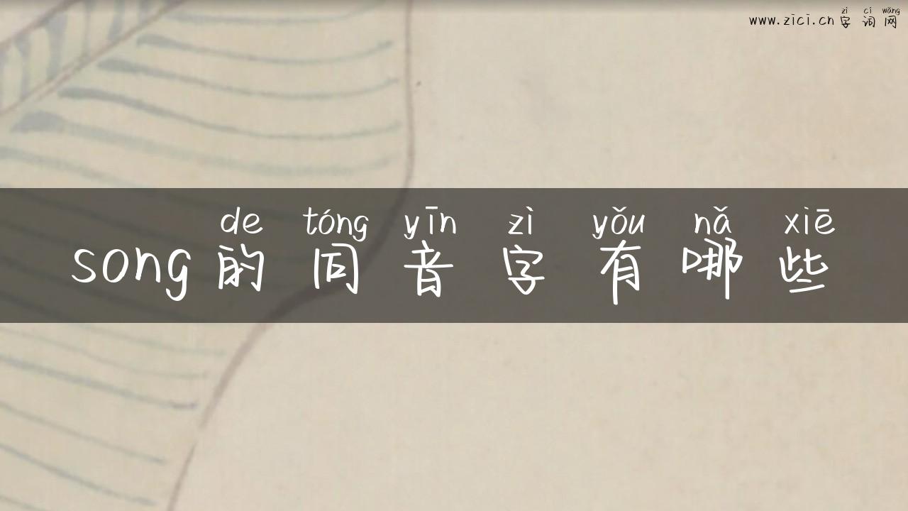 song的同音字有哪些