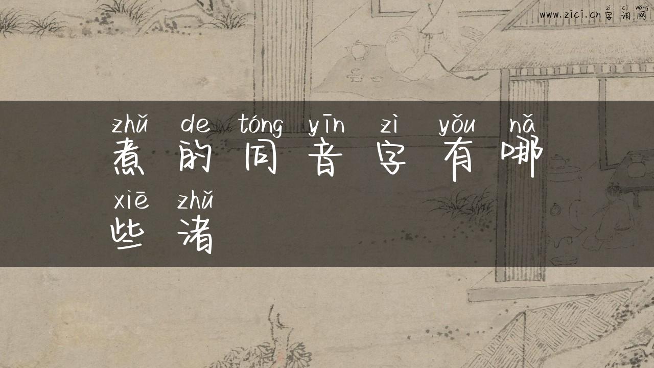 煮的同音字有哪些渚