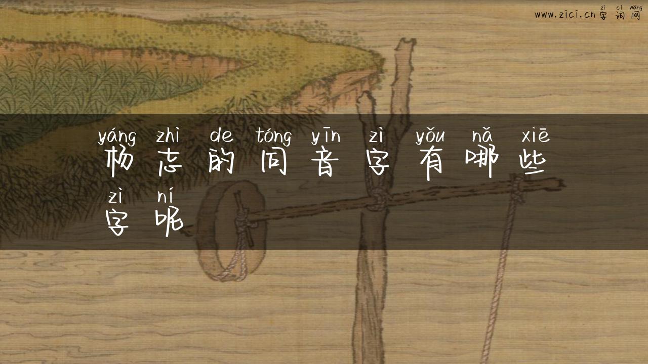 杨志的同音字有哪些字呢
