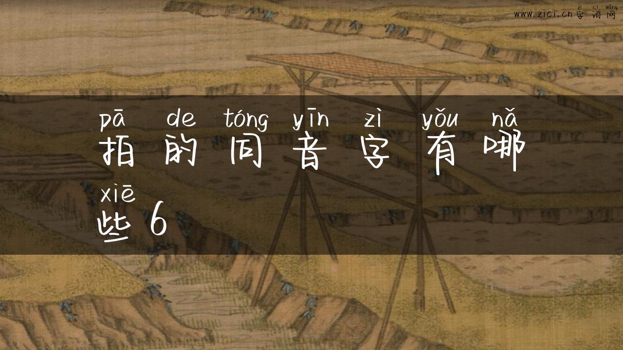 拍的同音字有哪些6