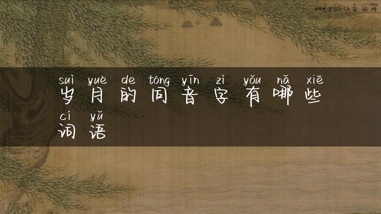 岁月的同音字有哪些词语