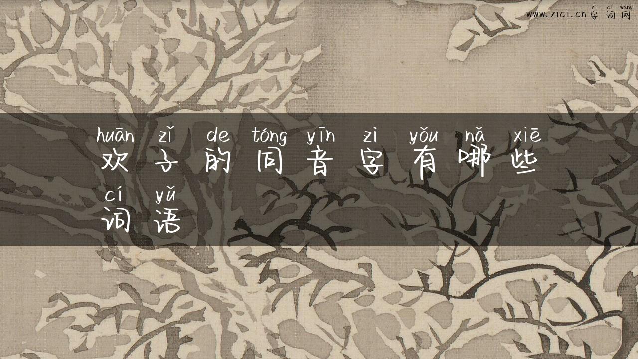 欢子的同音字有哪些词语