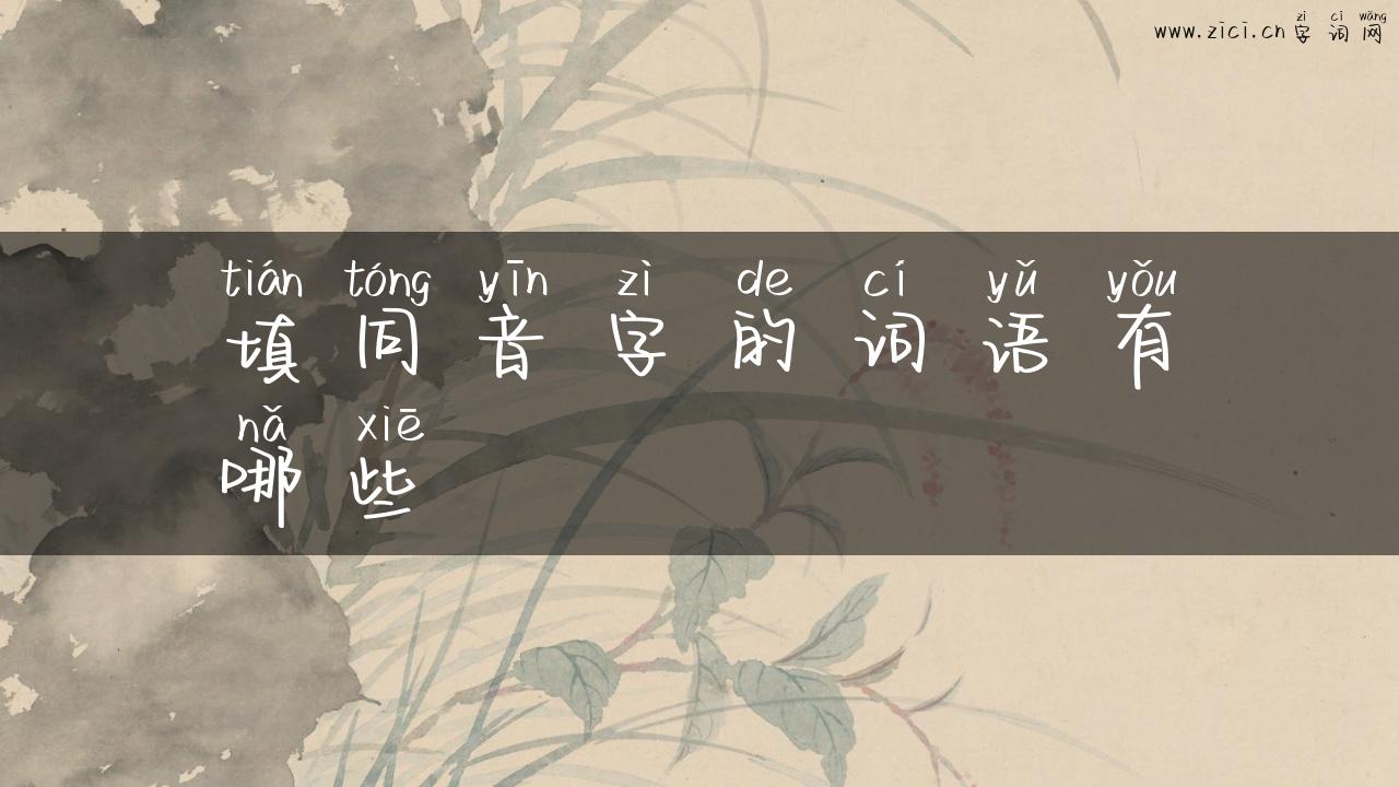 填同音字的词语有哪些