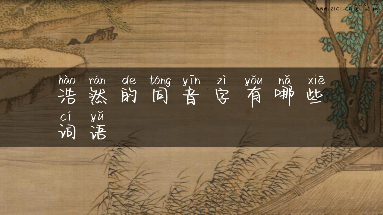 浩然的同音字有哪些词语