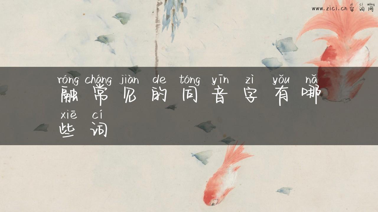 融常见的同音字有哪些词