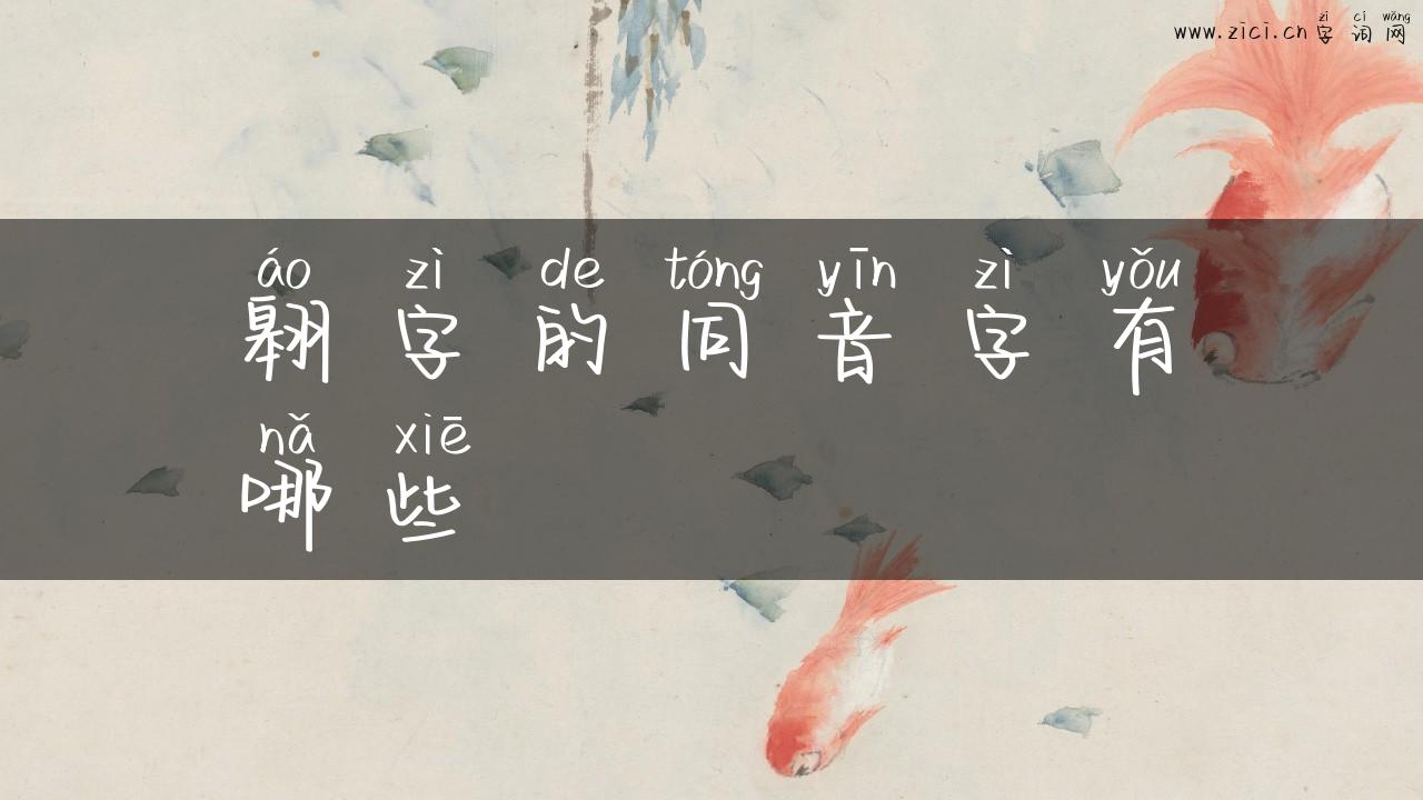 翱字的同音字有哪些