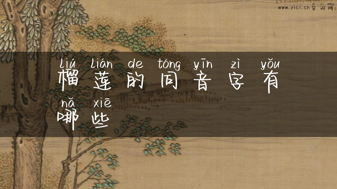 榴莲的同音字有哪些
