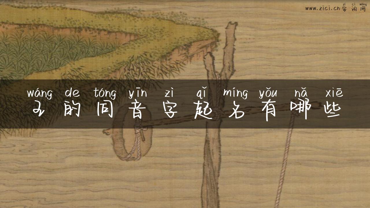 王的同音字起名有哪些