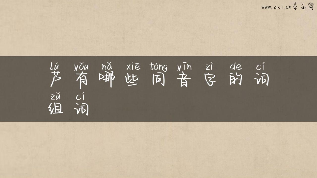 芦有哪些同音字的词组词