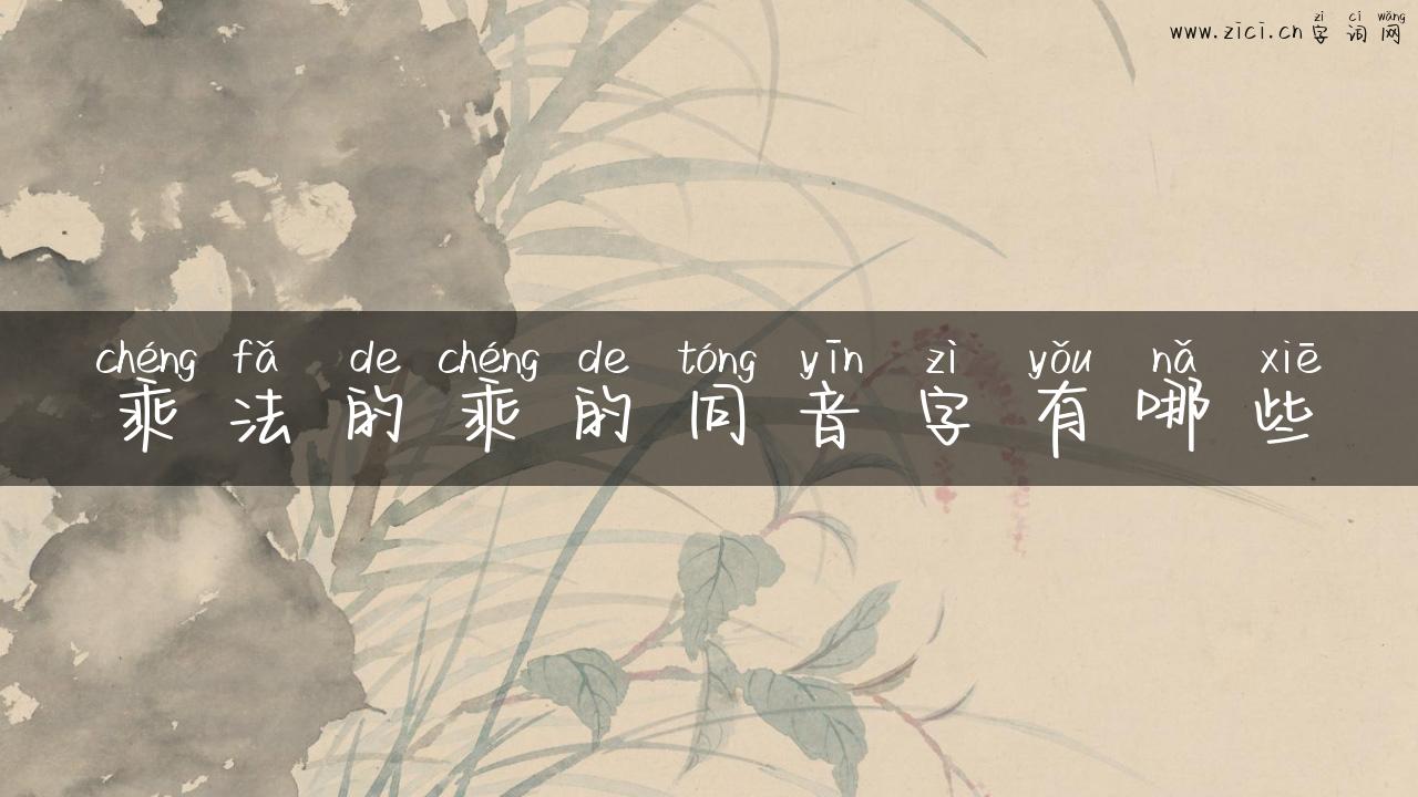 乘法的乘的同音字有哪些