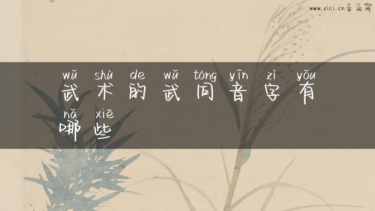 武术的武同音字有哪些