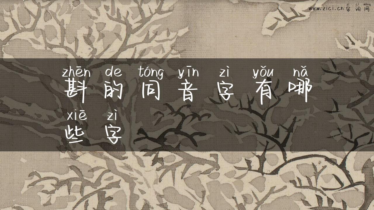 斟的同音字有哪些字
