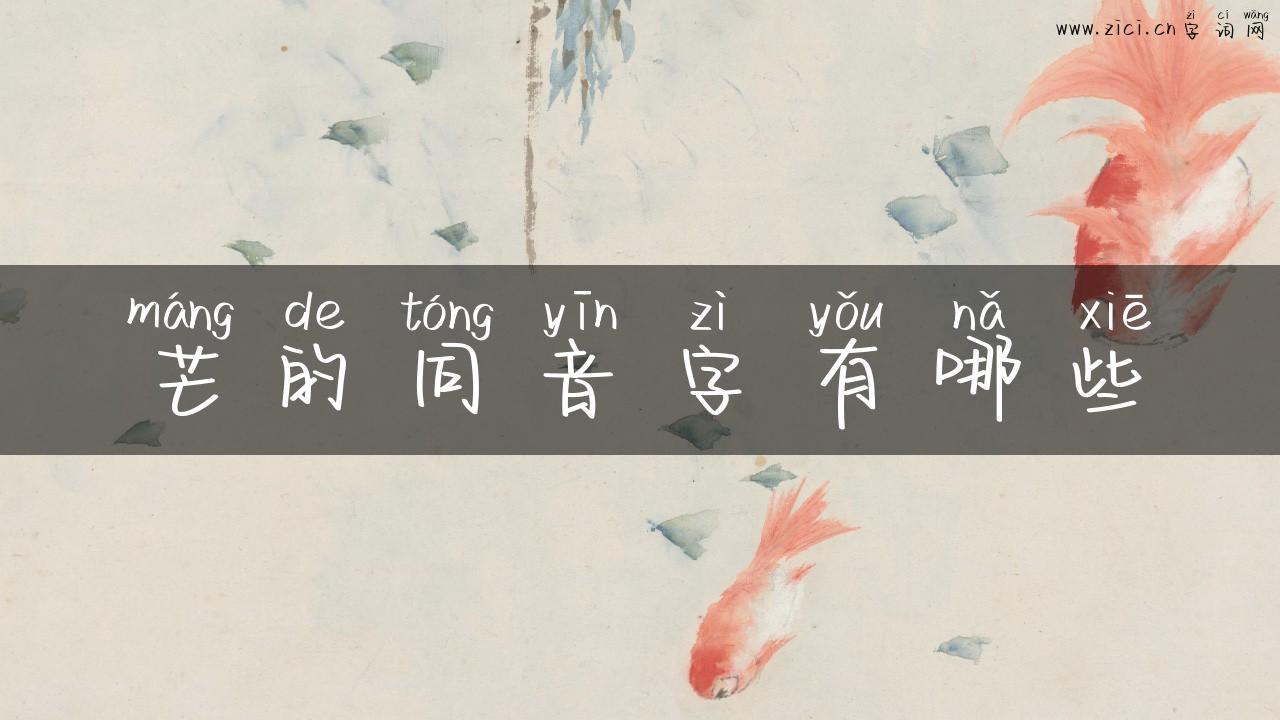 芒的同音字有哪些