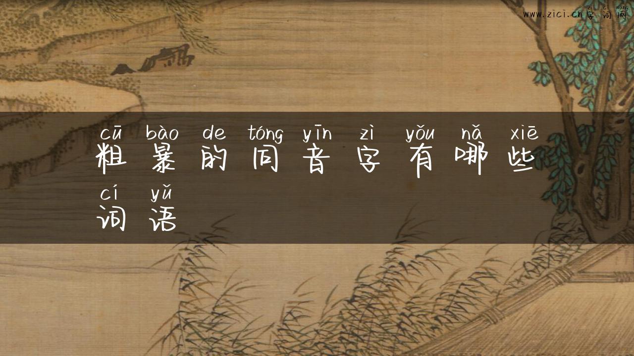 粗暴的同音字有哪些词语