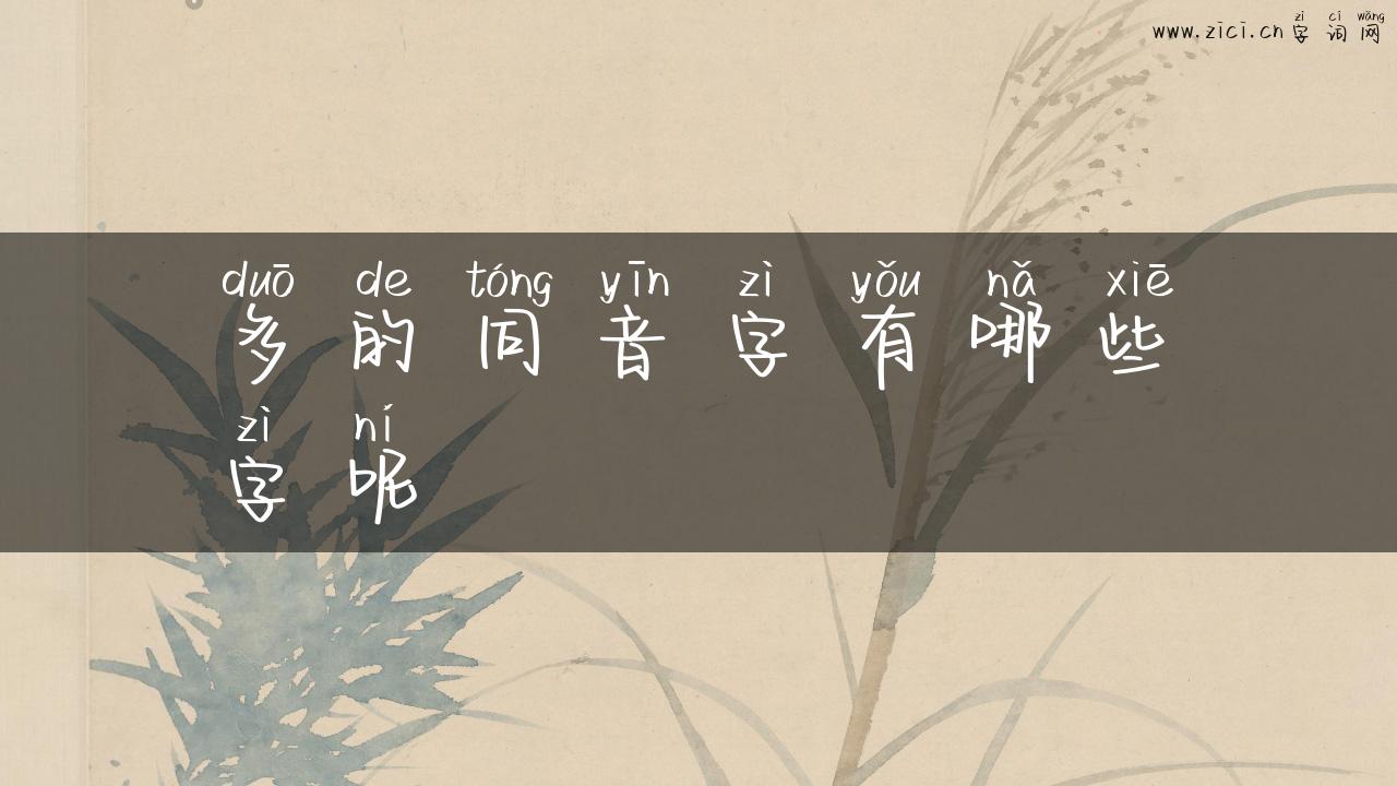 多的同音字有哪些字呢
