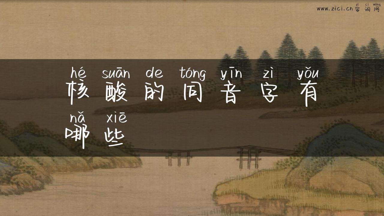 核酸的同音字有哪些