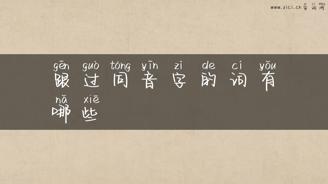 跟过同音字的词有哪些