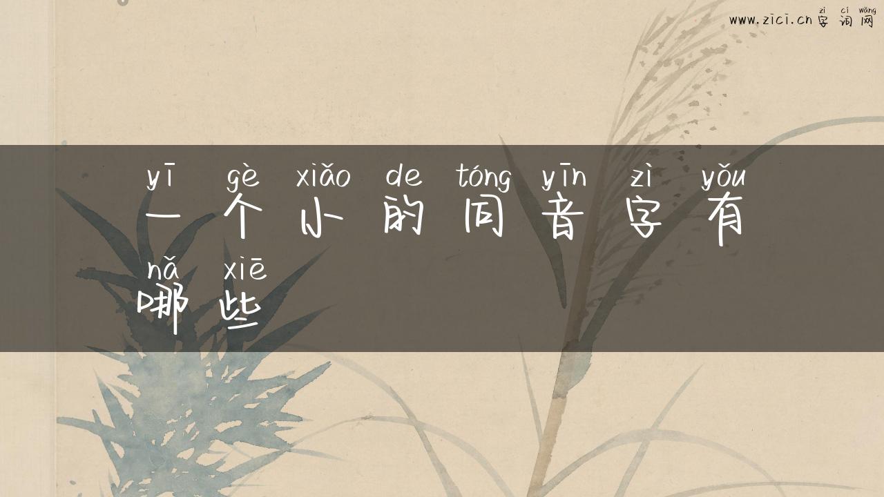 一个小的同音字有哪些