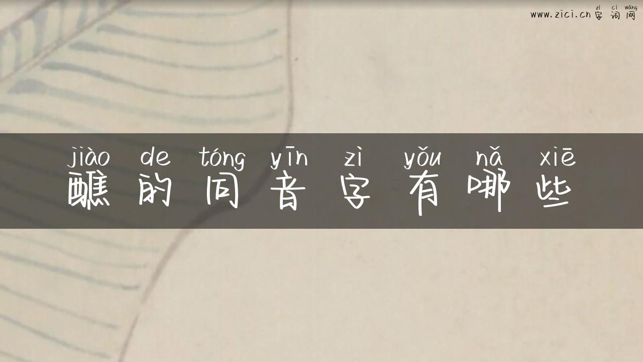 醮的同音字有哪些