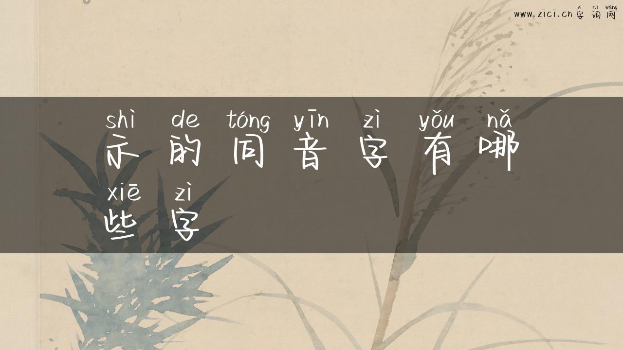 示的同音字有哪些字