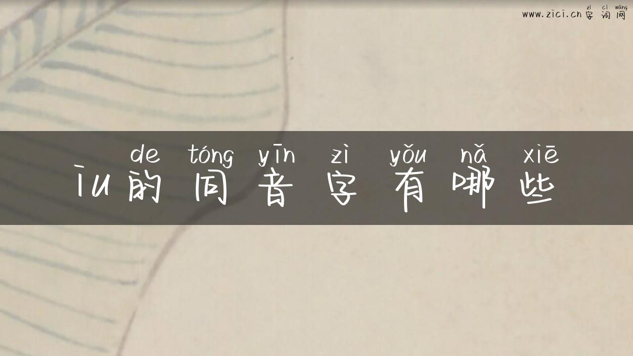iu的同音字有哪些