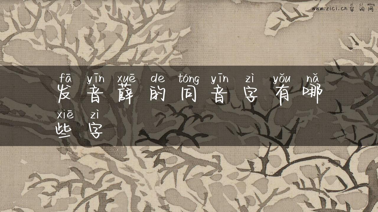 发音薛的同音字有哪些字