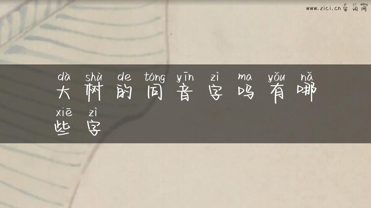 大树的同音字吗有哪些字