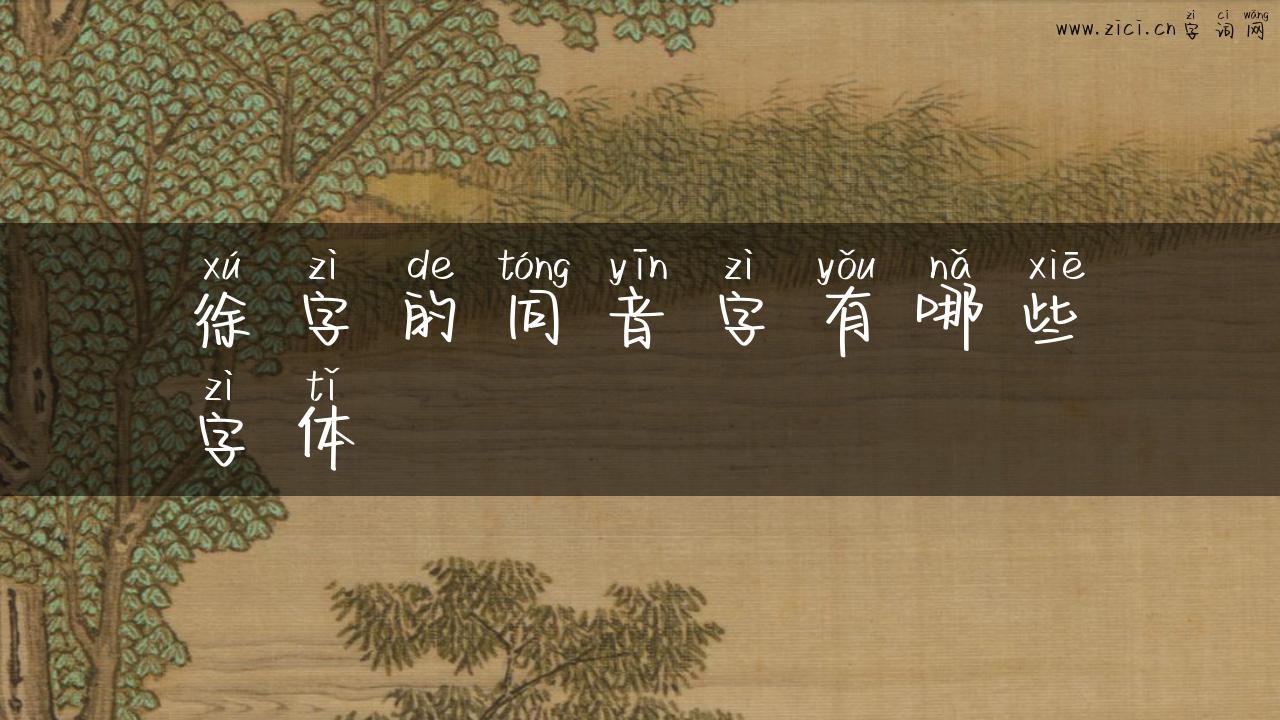 徐字的同音字有哪些字体