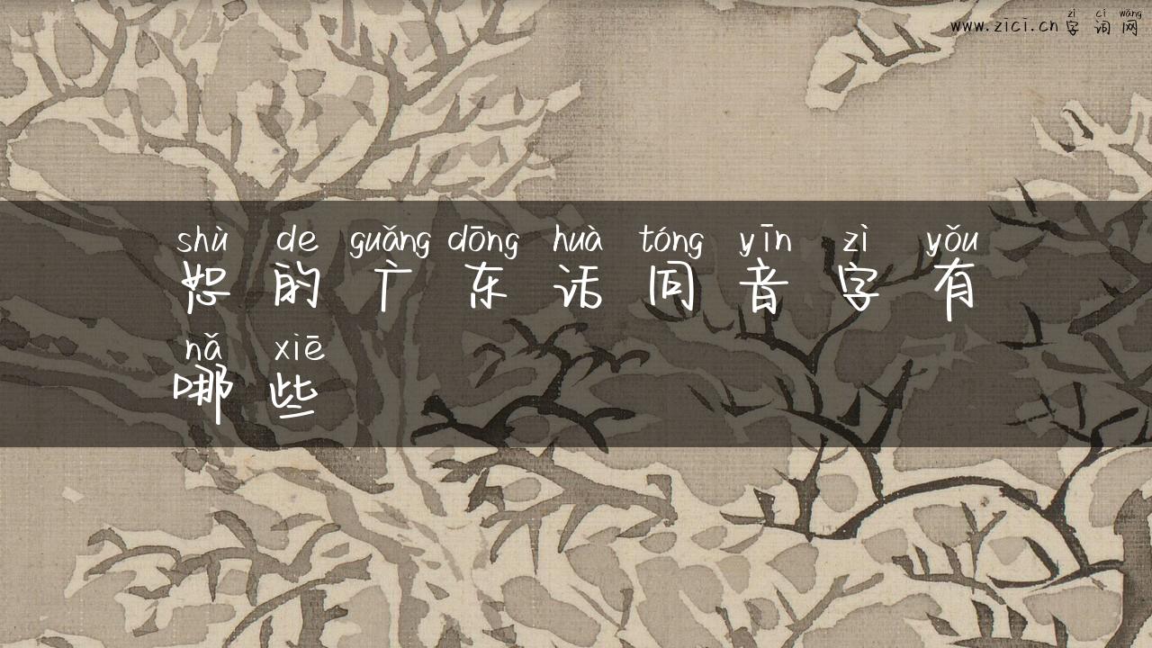 恕的广东话同音字有哪些