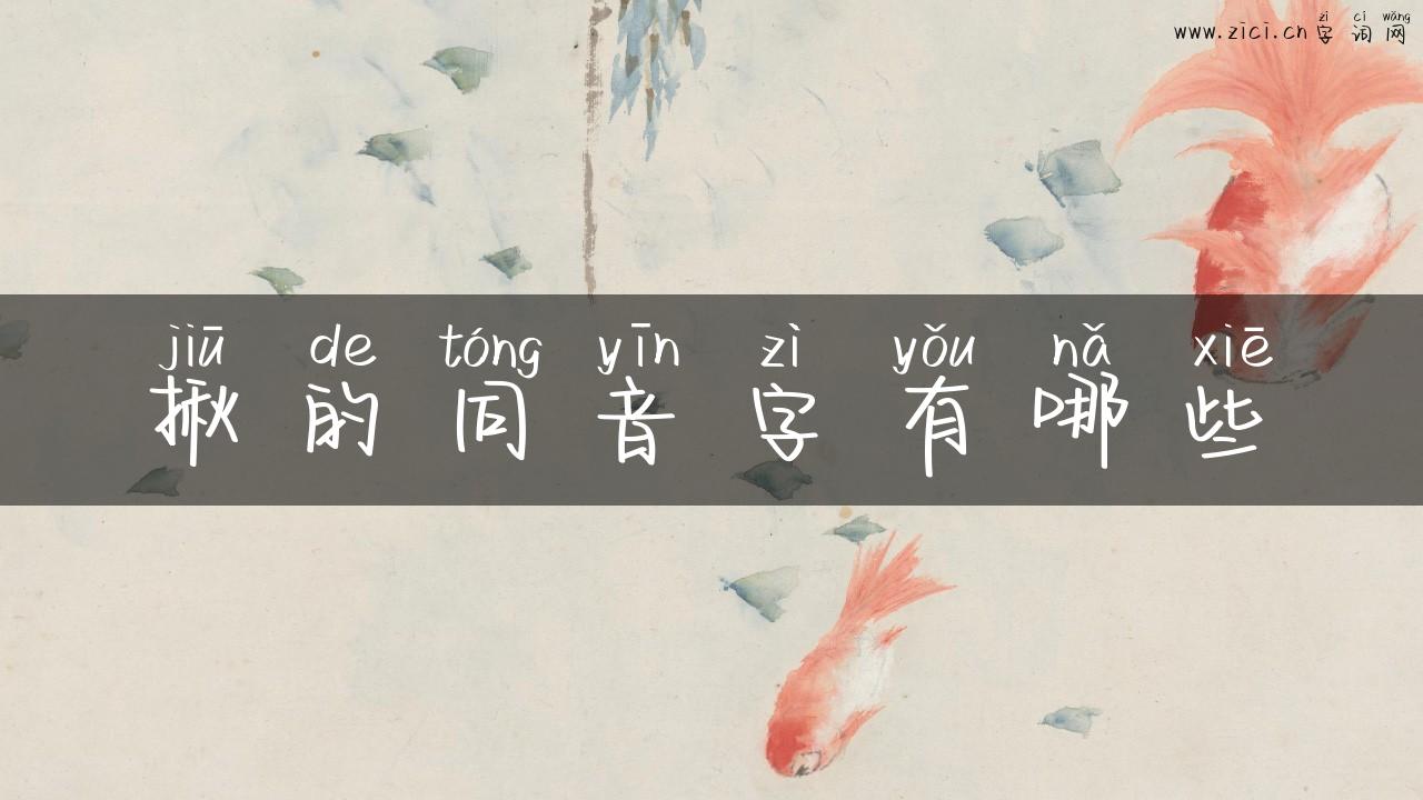 揪的同音字有哪些