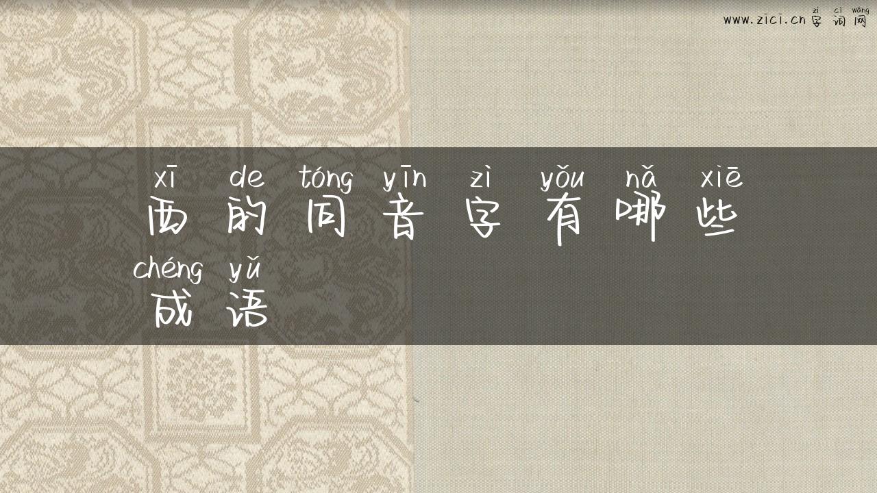 西的同音字有哪些成语