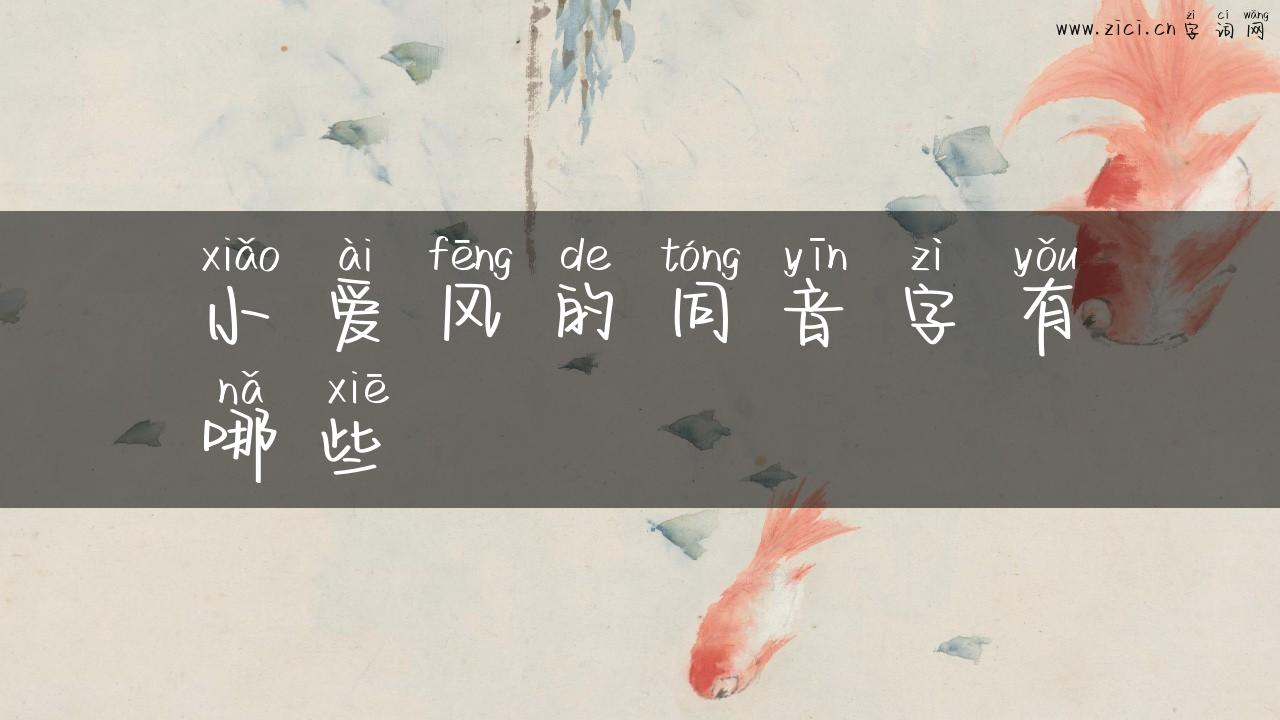 小爱风的同音字有哪些