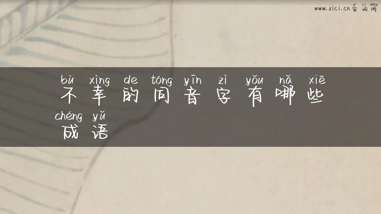 不幸的同音字有哪些成语