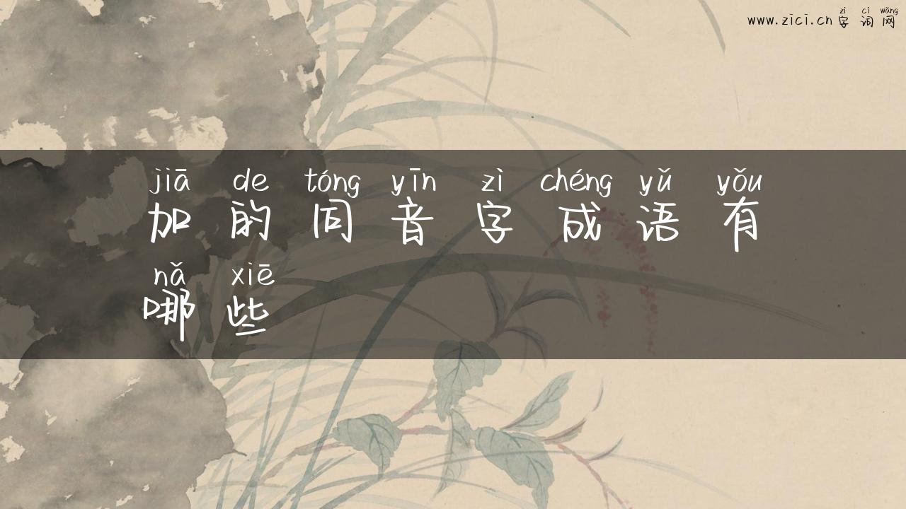加的同音字成语有哪些