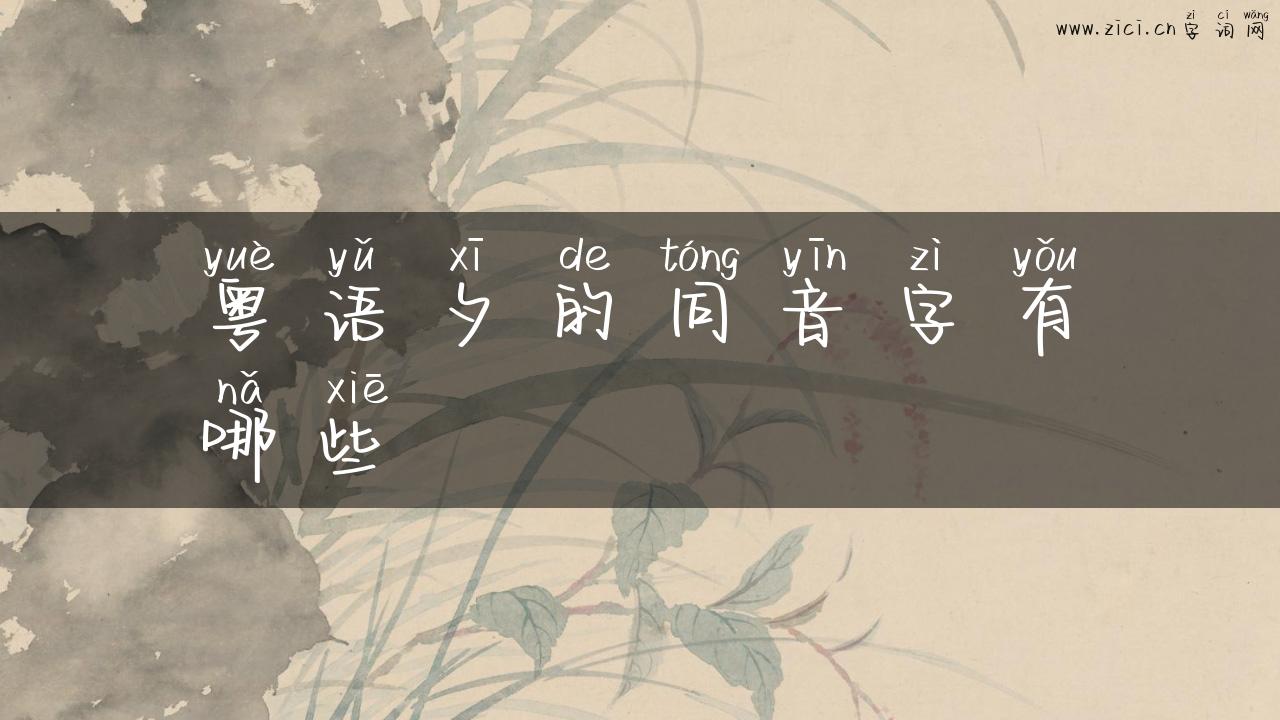 粤语夕的同音字有哪些