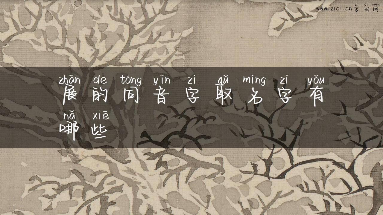 展的同音字取名字有哪些