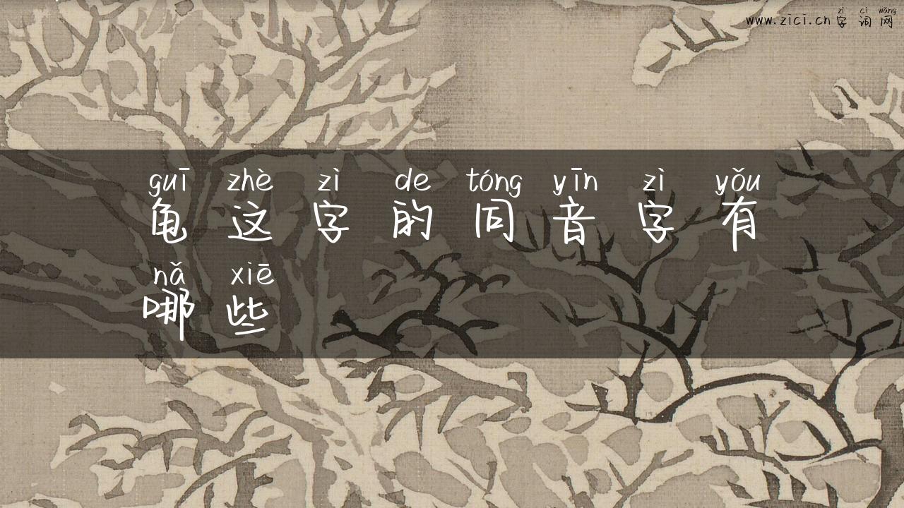 龟这字的同音字有哪些