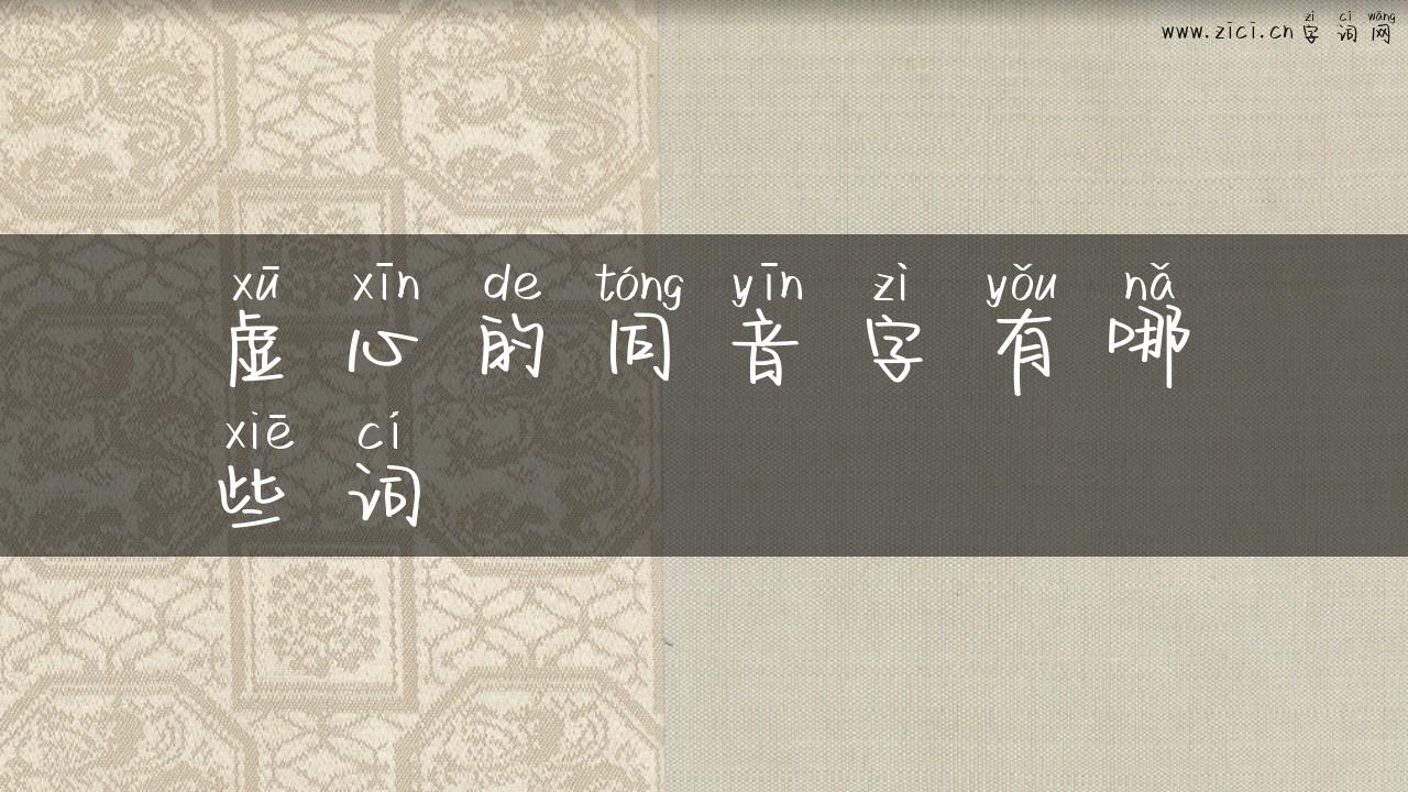 虚心的同音字有哪些词