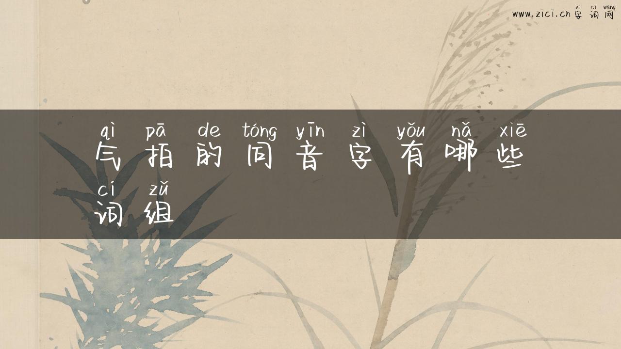 气拍的同音字有哪些词组